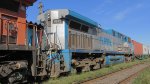 RUMO 9842